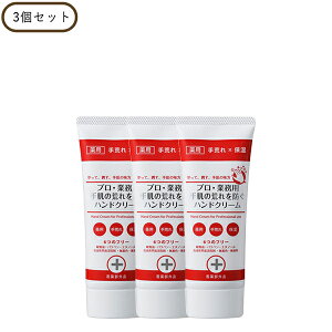 y|Cgő27{zvEƖp 蔧̍rhnhN[N 3Zbg Ki [11Zbg܂ŉ MtgΉ