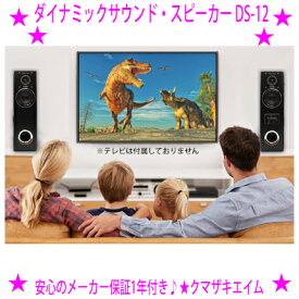 ★ダイナミックサウンド スピーカーシネ・サウンド Cine Sound★アンプ内蔵タワースピーカー★クマザキエイム正規品 DS-12 Retro Sound◆最大出力80Wの迫力サウンド！リビングがまるで映画館！送料無料！【あす楽対応】