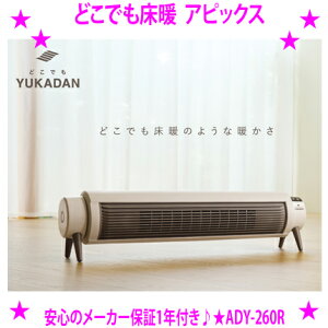 ǂłg AsbNXKi ADY-260RDȏꏊɒułǂłĝ悤Ȓg̊Ē܂􁚕֗ȃRtrO _CjOłȂւE