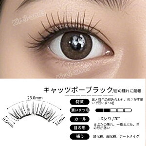 yTikTokESNSb蕦zSLENKY }Olbg ܂ }Olbg܂  C܂ [{bNXt C܂ 3d ϕi h K  ėp  S҂܂ }