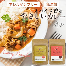 【アレルギー対応】2種類の味から選べる！ 無添加 グルテンフリー 28品目不使用 カレーパウダー カレー粉 中辛 ちび辛 小麦粉不使用 アレルゲンフリー アレルギー対応 フリー ダイエット [ 1袋で5食分 / 2袋で10食分 ]