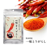 【楽天ランキング1位受賞】熊本県人吉球磨産一味とうがらし×1袋 (15g) 唐辛子 国産 熊本産 熊本県人吉球…