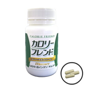 カロリーフレンド　1本（90粒）