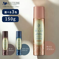 ヘアボーテ エクラ ボタニカルエアカラーフォームEX 白髪染め 手軽 傷めにくい ダメージ髪ケア うるおい …