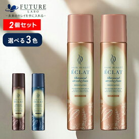 【8/4 20時～全品共通10％クーポンあり】ヘアボーテ エクラ ボタニカルエアカラーフォームEX 2本セット 簡単 白髪染め 手軽 ダメージヘア ヘアケア FUTURE LABO フューチャーラボ＜医薬部外品＞【正規品】【ギフト対応可】