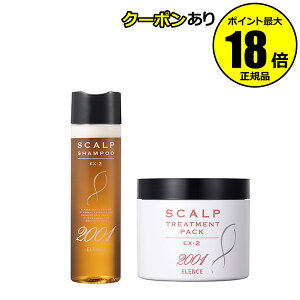 y5OFFN[|zGX2001 XJvVv[g[ggZbg EX-2 MtgΉ