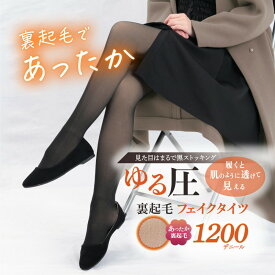 【 着るだけダイエット 】ゆる圧裏起毛フェイクタイツ 極暖タイツ 裏起毛 フェイクタイツ 着圧 厚手 ストッキング 1200デニール 脚痩せ 美脚