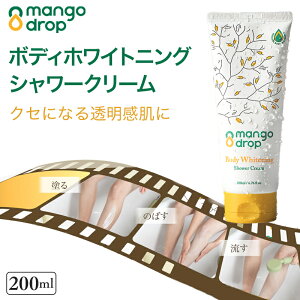 {fBV[N[ }S[hbv {fB[N[  V[N[ {fBPA zCgjO ؍RX g[Abv XLPA ێ Abv }S[t