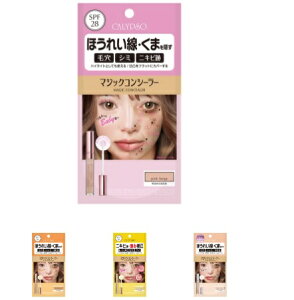 �y2024�N ���j���[�A���z�J���v�\ �}�W�b�N�R���V�[���[ �@�V�~�B�� ���[ �|�X�g�����ő�������