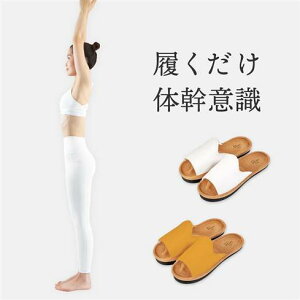 Sliet XGbg Y-Type ̊𐮂Xbp Sliet@XGbg NT_ 劲 g p g[jO GNTTCY VFCvAbv  qbv ӂ͂@NXbp@