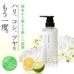 crescera mVR Vv[ { iA~m_ PA Tj y2025NVz