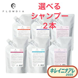 yKi/Iׂށzf~ t[fBA fB[vCXg X[NCXg X[NCg XvOtg Vv[ 1000ml 2{Zbg ז  ʖ  _[W  wAP