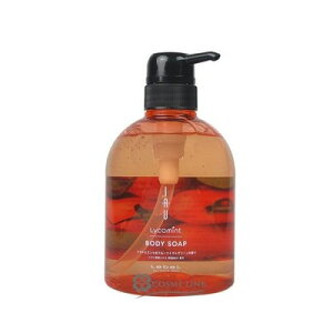 ���x�� �C�I���R�~���g �{�f�B�\�[�v 500ml �y�{�f�B�\�[�v�z�y�w�A�G�b�Z���X�zLebel IAU Lycomint BODY SOAP