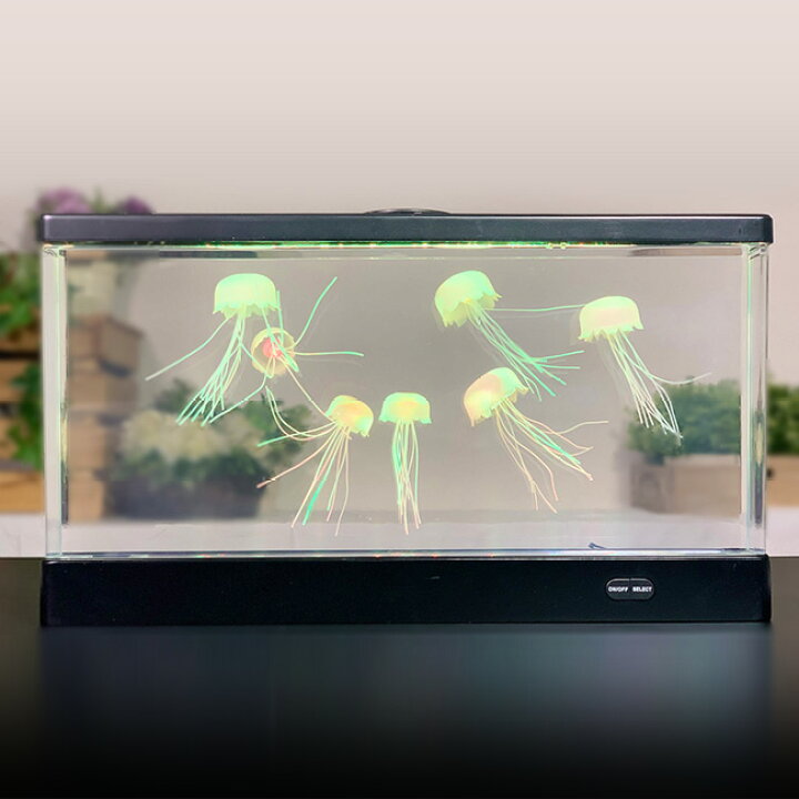 楽天市場 アクアリウム クラゲ ワイド 水槽 Ledライト くらげ おもちゃ 人工 フェイク 海月 水母 インテリア 自宅 おしゃれ 癒し リラックス 照明 卓上 リビング 寝室 一人暮らし ひとり暮らし Led キレイスポット