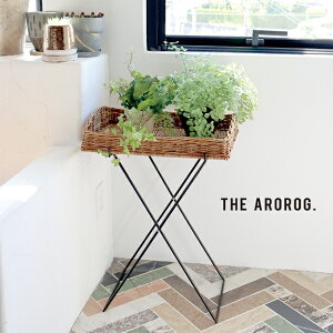 THE AROROG W AO og[gC[ϗt A u   rO  eX ϗtA  ^  bN TChe[u TChbN \t@ _CjO Lb`] 1-2W