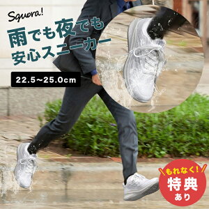 yTzJłłSXj[J[@22.5cm`25.0cm[ʊwC ʊwXj[J[ ʊw Xj[J[  C h  w w LbY q ʊwpXj[J[ ʊwpV[Y Xj[J[ 