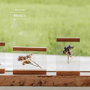 yTzEbh oCh z_[ ʐ^ L[ؐ t[ tHgt[   ʐ^  킢  ؐt[ rO   Ƒ Ԃ ǂ ʐ^