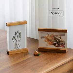 yTzEbh oCh z_[ ʐ^ |XgJ[h TCY[ؐ t[ tHgt[   ʐ^  킢  ؐt[ rO   Ƒ 