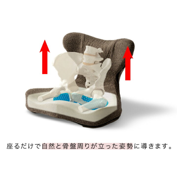 楽天市場】【特典あり】馬具マットプレミアムアドバンス[健康 座椅子 