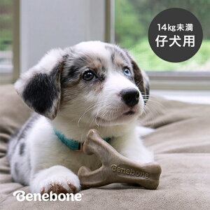 xl{[ ps[ EBbV{[ x[R X[[q   14kg   J~J~ ݕ V ObY ނ e q  ߋ p ybgpi ep qp]