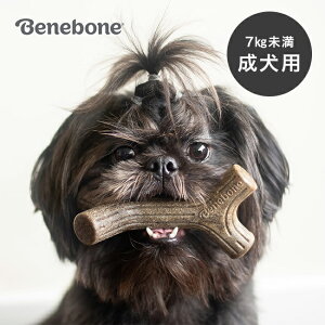 ベネボーン 2パック アダルトタイニー メープルスティック&ザグラー ベーコン[小型犬 噛む おもちゃ 犬 7kg 未満 成犬 いぬ カミカミ 噛み癖 遊ぶ グッズ 噛むおもちゃ 犬用 ペット用品 成犬