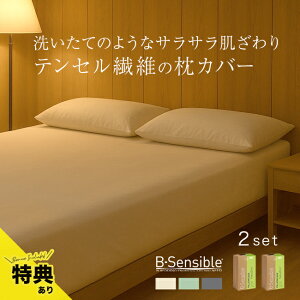 yTzB-Sensible s[P[X 50×70cmᓯF2[Jo[ 50×70 s[P[X s[Jo[ t@Xi[t  Jo[ hJo[ 50 70  h h_j Q ΍ ObY]