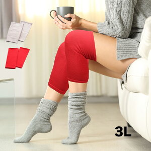 Ղ̐ԂЂ搶 2g 3L[傫TCY GT|[^[ ЂT|[^[ GPA Q}jE @ g  |J|J   d }CiXCI i  AQ AQ G Ђ 