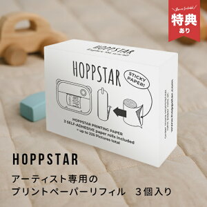 HOPPSTAR �z�b�v�X�^�[ Artist �A�[�e�B�X�g ���M���X�e�b�J�[ 3����[�A�[�e�B�X�g��p ���M�� �V�[�� �T�[�}���X�e�b�J�[ ���t�B�� �v�����g�y�[�p�[���t�B�� �L�b�Y�J���� �v�����g�J���� 