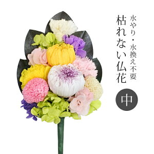 ͂Ȃ 헖 [  d   { @ { @v dp  ԑ sv sv tFCNO[ vU[uht[ hCt[ dp dpi]