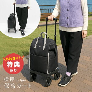 yTzKINDCARE J[g ubN^A[J[g Vo[J[ ۗ  J[g  L[J[g VbsOJ[g 4 VbsOJ[g y L[