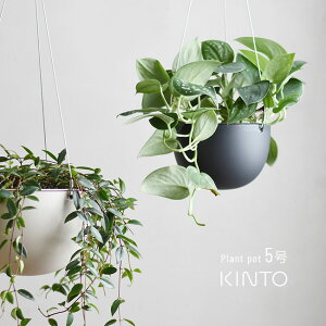 KINTO Lg[ vg|bg 201 140mm 5[A Aؔ C[ ݂邷   v y   CeA  ϗtA O[  nMO nMOv^[  