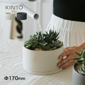 yTzKINTO Lg[ vg|bg 191 17cm 6[Aؔ    ϗtA  CeA A 픫 y  󂯎Mt v^[ t[|bg ̌^ k 
