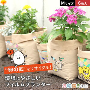 teine home tBv^[ ܂͂ MTCY 6Zbg[v^[  O K[fjO 킢 y ؉v^[  ͔| ܌^v^[ | x_  ϗt A 