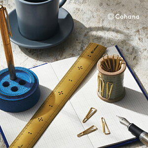 Cohana ^イ̒| 30cm[| ̂ |p K ^J g a {  | \[CO W[ |p̂  |p  m a ̓ ꂳ]