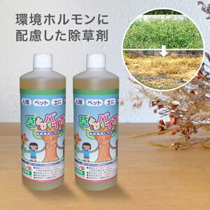 yTzƂoCI 500ml s2{gt[t  n  G    Ƃ oCI ƂoCI t̏ ԏ    n 󂫒n   K