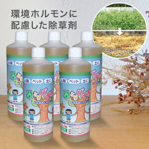 yTzƂoCI 500ml s5{gt[t  n  G    Ƃ oCI ƂoCI t̏ ԏ    n 󂫒n   K