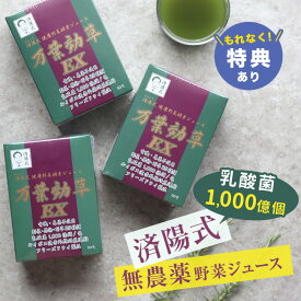 【特典あり】済陽式 万葉効草EX 《3箱セット》[青汁 乳酸菌 酵素 西台クリニック 済陽高穂 院長先生共同開発 乳酸菌入り 人気の酵素 青汁 済陽 高穂 健康野菜 健康野菜ジュース 酵素ジュース] 即納