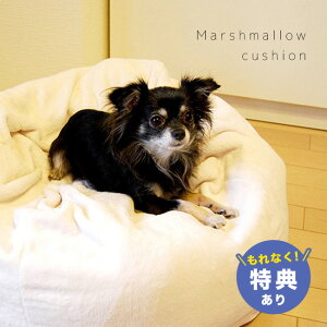 yTz}V}NbV zCg[ybgp NbV pxbh Lpxbh p Lp xbh ybgxbh ӂӂ Jo[ 􂦂  L ybg ybgNbV ᔽ 