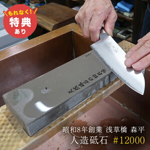 yTzX u  dグu 12000[u 6000 { dグ   XeX    @  u V[vi[  a ؂ꖡ  n