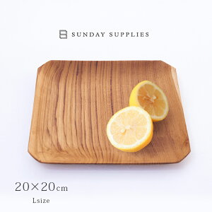 yr[TzjG v[gXNGA LTCY 20×20cm[ؐv[g ؐ g[ v[g M gC M lp pM  킢 ؂̎M H JtF Xg aَq 