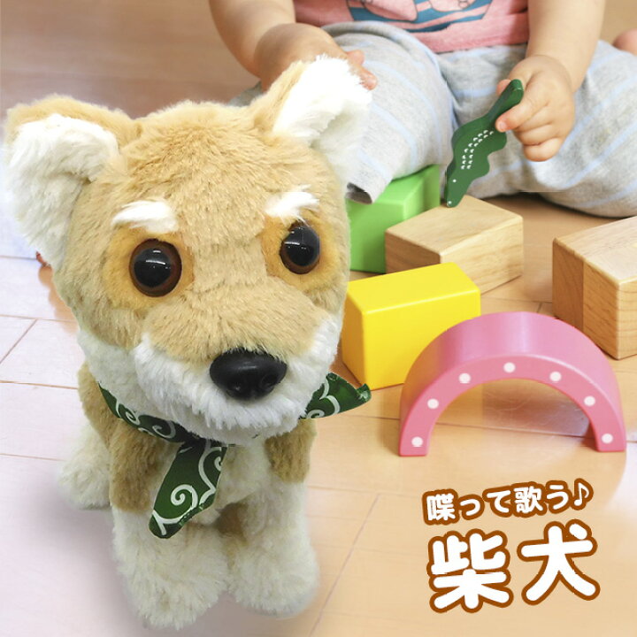 楽天市場 音声認識aiロボット 柴犬 電子 ぬいぐるみ ロボット 犬 コミュニケーションロボット 電子玩具 電子おもちゃ ロボットぬいぐるみ 喋る しゃべる あいさつ 歌 アクション 人工知能 Ai ペット 癒し 会話 できる おもちゃ かわいい 1 2w キレイスポット