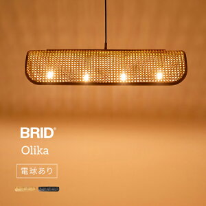 Olika IJ ^ y_gv 4 d 003398[y_gCg ԐڏƖ VƖ y_gvVF[h Ɩ  i` a k ؍  CeA _CjO