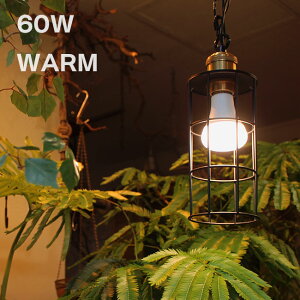 yTzPLANTS LIGHT vcCg 60 WARM 003380[A琬Cg LEDCg A d   X ϗtA k͔| 邳 dF rO _CjO K[fjO CeA Ɩ 