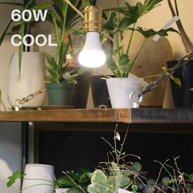 PLANTS LIGHT プランツライト 60 COOL 003382[植物育成ライト LEDライト 植物 電球 室内 家 お店 観葉植物 水耕栽培 明るさ 昼白色 リビング ダイニング ガーデニング インテリア 照明 取り付け 60W相当 交換 太陽光] 即納