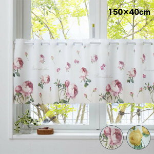 �y���T����zRedoute ���h�D�[�e �J�t�F�J�[�e��[�J�t�F �J�[�e�� �Ռ� �ՔM UV�J�b�g ���O���J�b�g ������� �K�N�� �o���� �K�N �o�� �͂� ���[�Y�� ���[�Y ���� ���킢�� �V���[�g�� �Ռ�