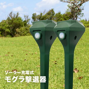 SaiEL \[[[d Oފ 2{Zbg[[d R[hX 猂ފ Oދ@  Qb Q O ΍ 猂ދ@ ƒp   c    l ͐~] 1