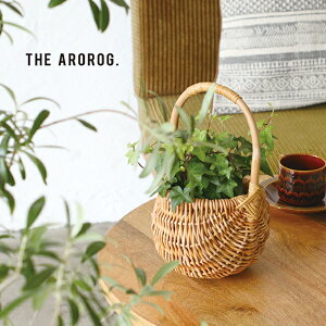 yr[TzTHE AROROG W AO pjGoXPbg STCY[^ ҂ oXPbg    킢 ^oXPbg ^  i` f CeA