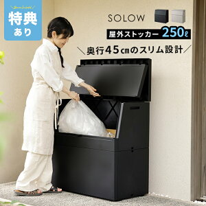 �y���T����zSOLOW �\���E �o�����ꂪ�X���[�Y�ȉ��O�X�g�b�J�[ 250L[���O ���[�{�b�N�X ���O�X�g�b�J�[ ���u ��^ ���[�� �x�����_ �S�~�� �S�~�X�g�b�J�[ ���{�� �S�~���W�� ��z�{�b�N�X ��