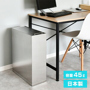 【特典あり】足立製作所 ステンレスダストボックス 45L[ゴミ箱 45リットル 蓋付き スリム おしゃれ 中身が見えない 部屋 リビング キッチン ステンレス製 スタイリッシュ 角型 シンプル 清潔