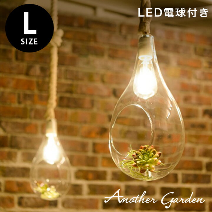 楽天市場 Swan ボタニックハンギングライトl Botanic Hanging Light L Ape 0wh おしゃれなインテリアライト テラリウムになるledの照明 リビングや寝室のインテリアにもおすすめ 即納 キレイスポット 楽天市場 Swan ボタニックハンギングライトl Botanic Hanging Light L Ape 0wh おしゃれなインテリアライト テラリウムになるledの照明 リビングや寝室のインテリアにもおすすめ 即納 キレイスポット